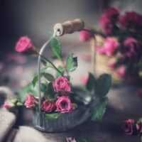 تصویر کاور آهنگ خریدن تنت را بریدن کفنت را با صدای زن (افغانی)