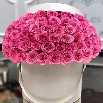 عکس کاور آهنگ کی بهتر از تو که بهترینی با صدای امیر حسین آرمان