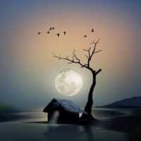 تصویر کاور آهنگ بیبی ببین بارونه اکتاو +با صدای زن و بچه ریمیکس اینستاگرام