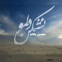 تصویر کاور آهنگ کوتاه بی کلام نشکن دلمو برای زنگ موبایل