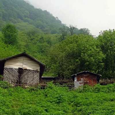 عکس کاور آهنگ یار من مهناز دلدار من مهناز از محمود هندی