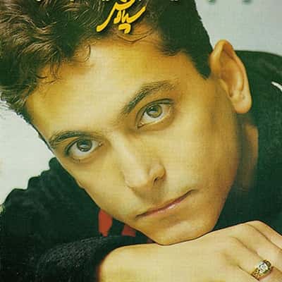 عکس کاور دانلود گلچین 20 آهنگ برتر سیاوش شمس mp3 یکجا