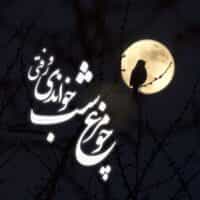 تصویر کاور آهنگ چو مرغ شب خواندی و رفتی با صدای زن از سیما بینا و مریم بهاری