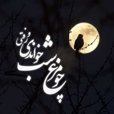 عکس کاور آهنگ چو مرغ شب خواندی و رفتی با صدای زن از سیما بینا و مریم بهاری