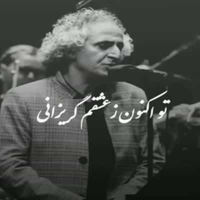 عکس کاور آهنگ ای ساربان ای کاروان لیلای من کجا میبری نامجو کنسرت